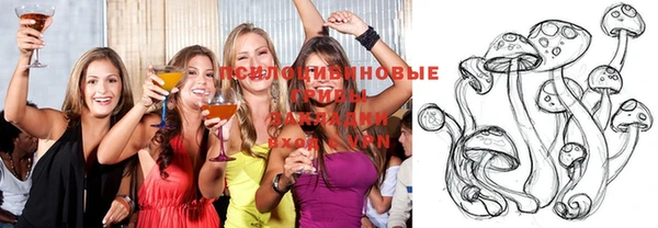 альфа пвп Верхнеуральск