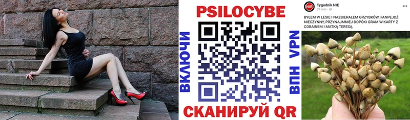 Псилоцибиновые грибы MAGIC MUSHROOMS  Ипатово 